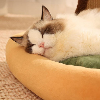 Tree Cat Lounger and Scratch Pad