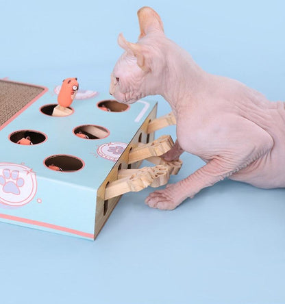 3-in-1 Corrugated Cardboard for Cat Scratcher Busy Box Toy Scratcher for Cat Teaser Wands to Relieve Boredom & Consume E Brand: YUNLEI