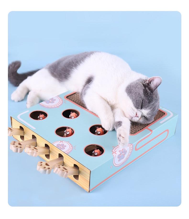 3-in-1 Corrugated Cardboard for Cat Scratcher Busy Box Toy Scratcher for Cat Teaser Wands to Relieve Boredom & Consume E Brand: YUNLEI