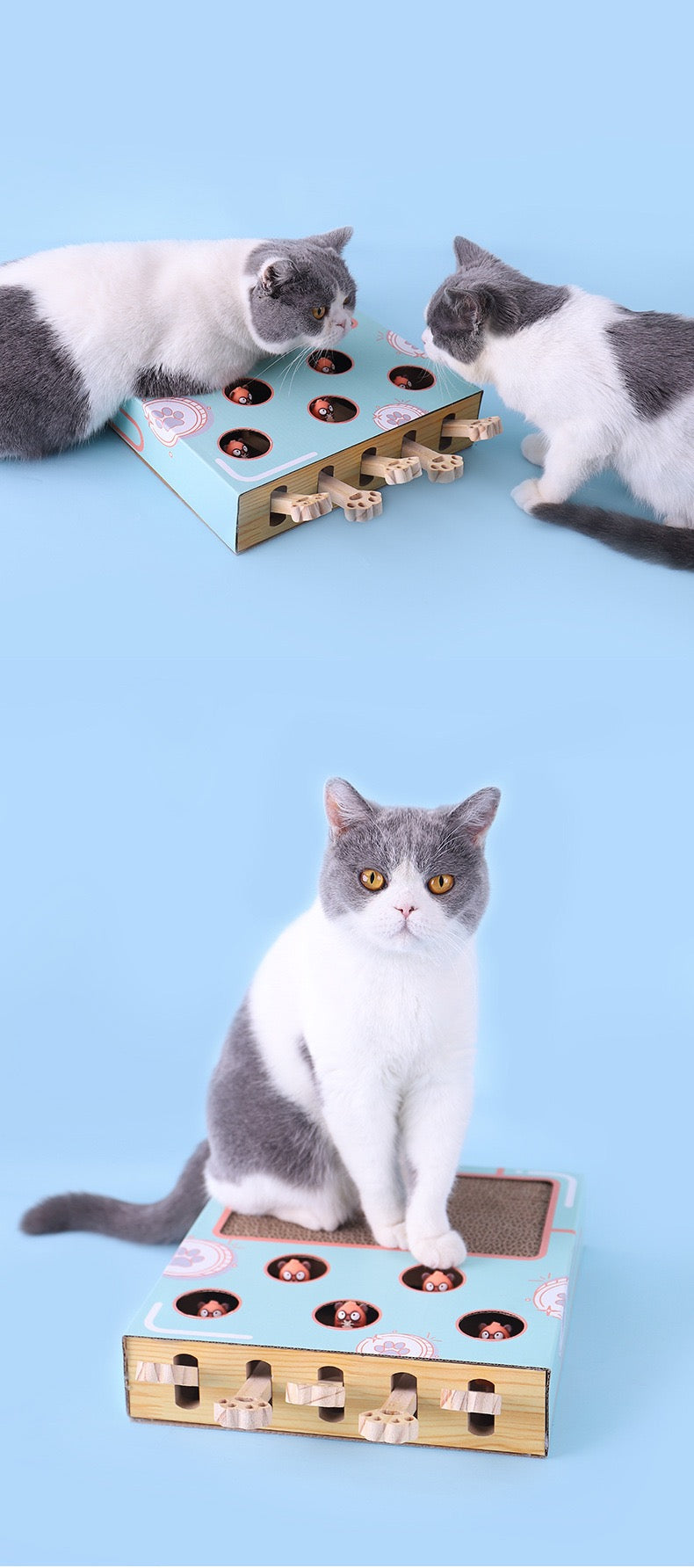 3-in-1 Corrugated Cardboard for Cat Scratcher Busy Box Toy Scratcher for Cat Teaser Wands to Relieve Boredom & Consume E Brand: YUNLEI