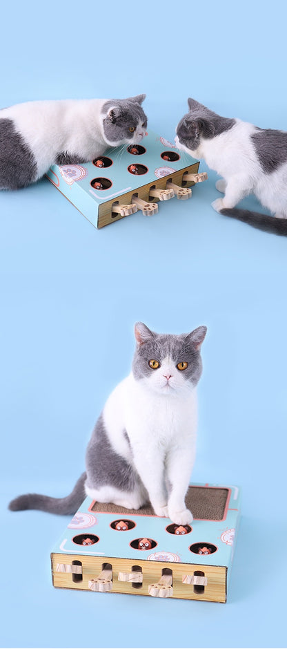 3-in-1 Corrugated Cardboard for Cat Scratcher Busy Box Toy Scratcher for Cat Teaser Wands to Relieve Boredom & Consume E Brand: YUNLEI