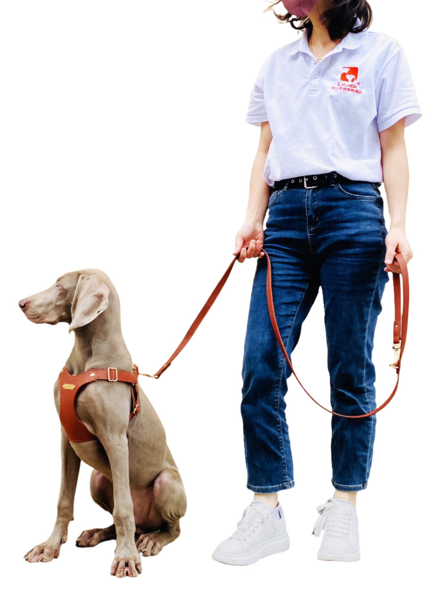 Faux Leather Pet Leash