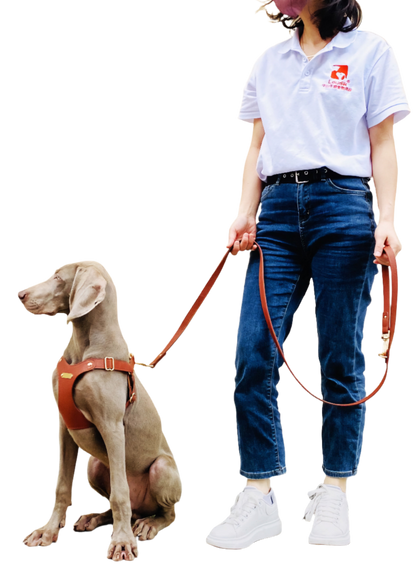 Faux Leather Pet Leash