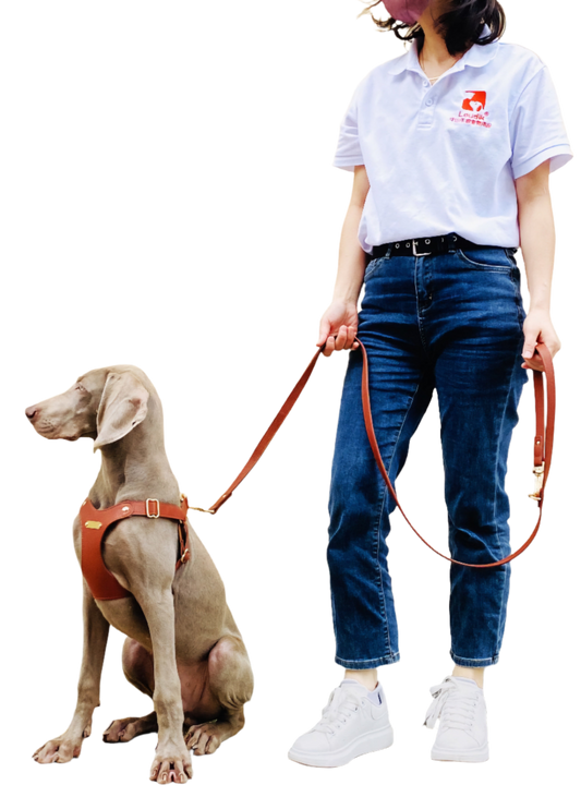 Faux Leather Pet Leash