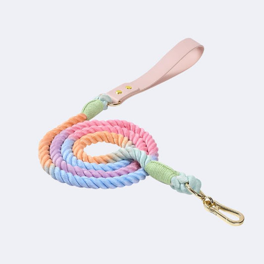 Braided Rope Leash